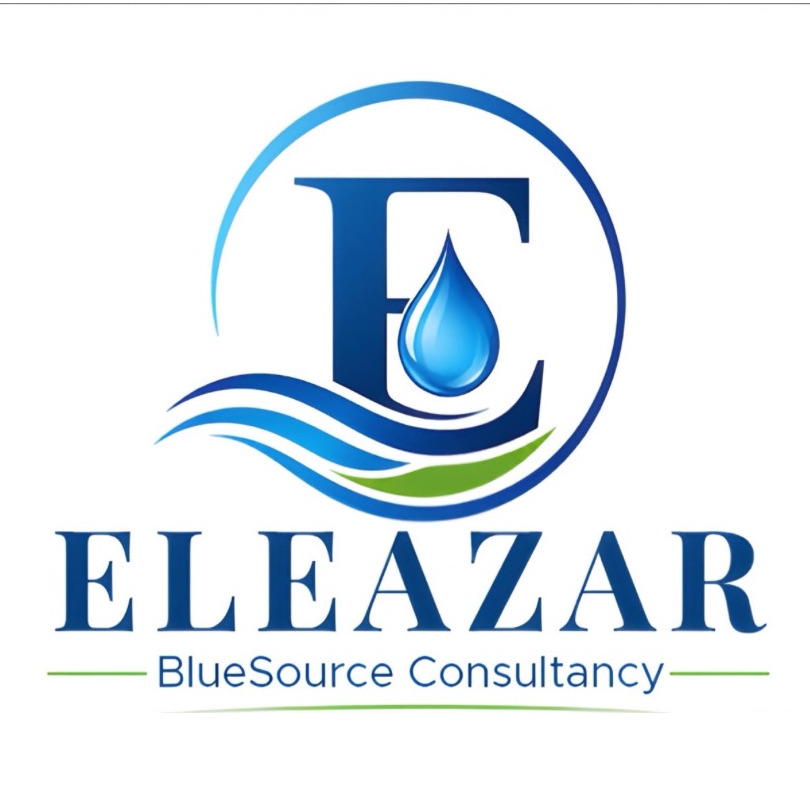 Eleazar BlueSource Consultancy